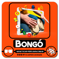 Learn to play bongo online